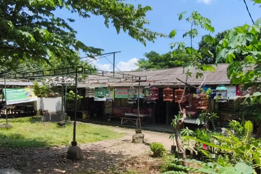 Pedagang Burung Direlokasi, Magetan Siapkan Pasar Flora Fauna