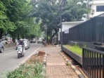 Tebang Pohon Jaksel, Oknum ASN Terancam Sanksi
