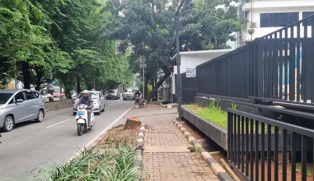 Tebang Pohon Jaksel, Oknum ASN Terancam Sanksi