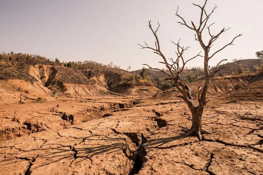 75 Persen Lahan Pasrepan Kritis