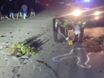 Dua Tewas Tabrakan Motor di Trowulan