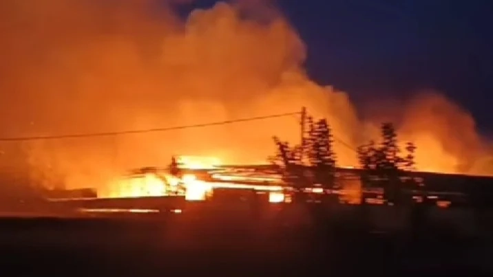 Kandang Ayam Mojokerto Ludes Terbakar, Diduga LPG Oven