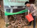 Lapas Bojonegoro Kelola 2.000 Bebek Ramadan