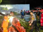 Pohon Tumbang Timpa Mobil di Jalur Nasional