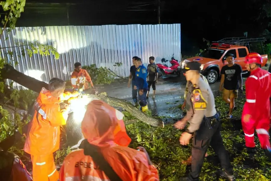 Pohon Tumbang Timpa Mobil di Jalur Nasional