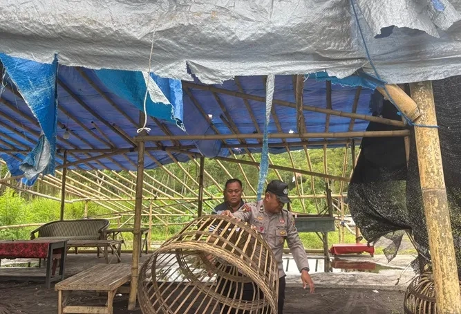 Polres Lumajang Gerebek Dugaan Sabung Ayam, Nihil Aktivitas
