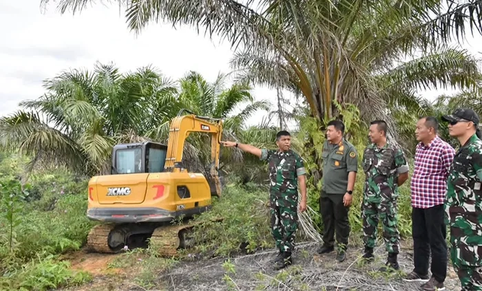 TNI AD Tertibkan 400 Hektare Sawit di TNTN