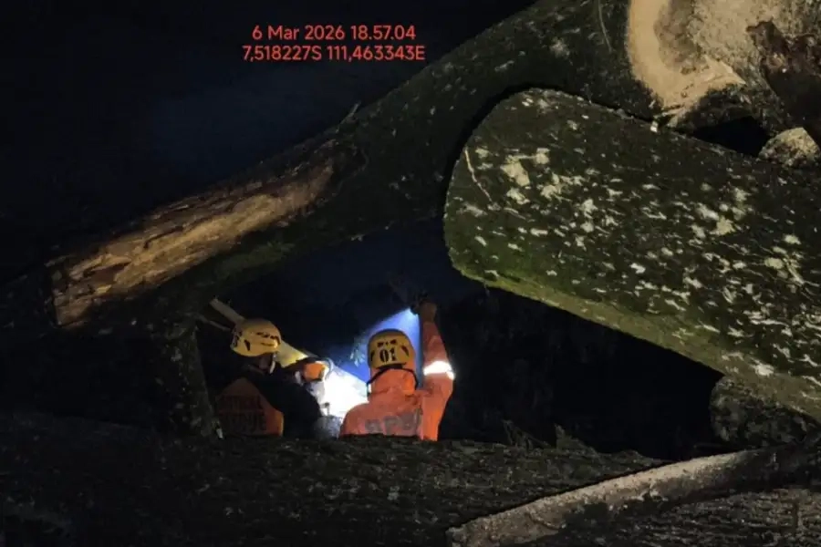 Angin Kencang Magetan Tumbangkan Pohon, Rumah Rusak