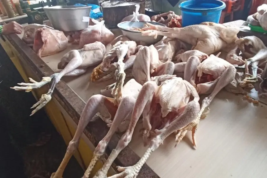 Harga Ayam Potong di Tuban Tembus Rp42 Ribu