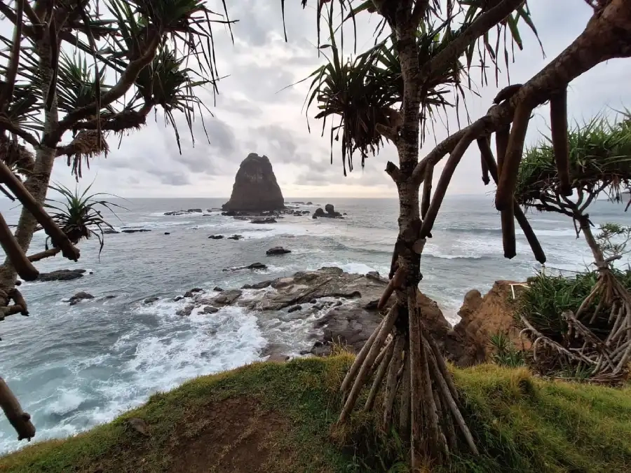 Ledakan Wisatawan Papuma, Pengawasan Harga Dipertanyakan