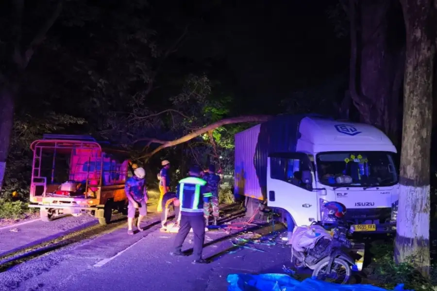 Truk Hantam Pohon, Motoris Sukomoro Terluka