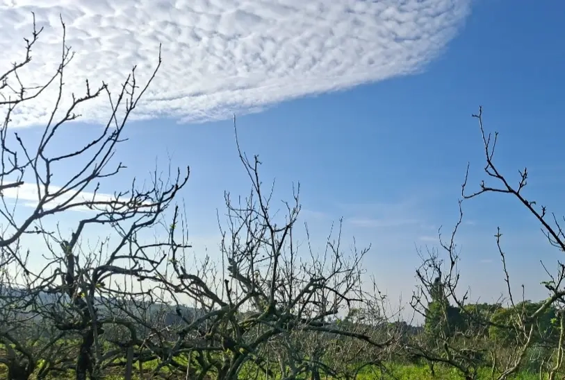 BMKG Ungkap Potensi Cuaca Ekstrem Malang Raya