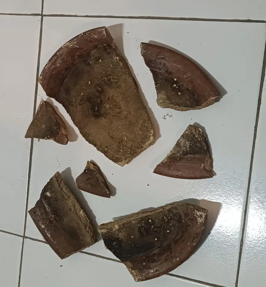 Cobek Jadi Senjata, Polisi Amankan Pelaku Penganiayaan