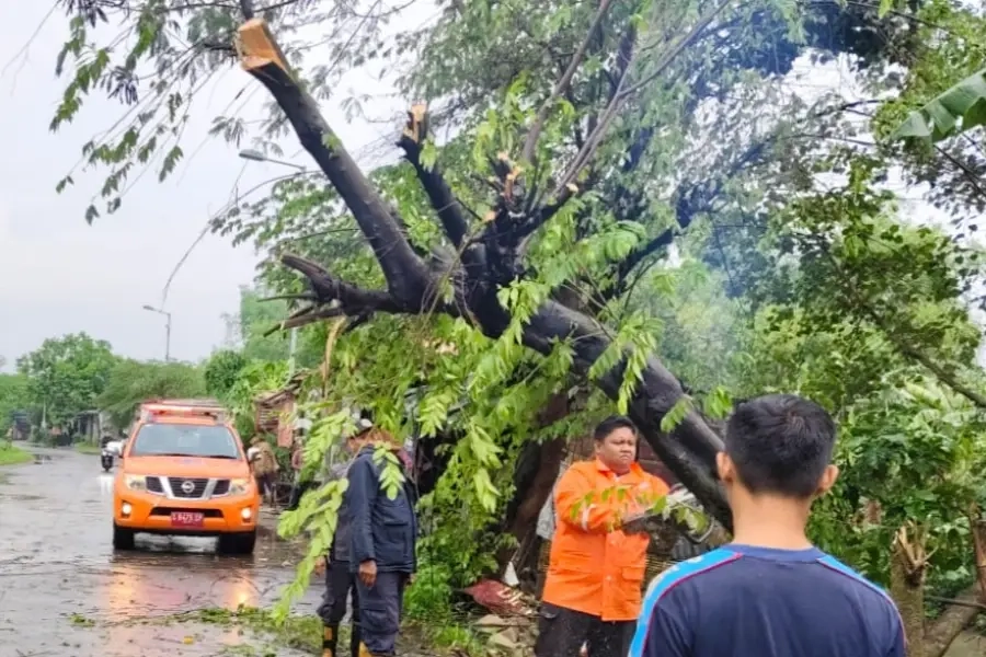 Cuaca Ekstrem Mojokerto Lumpuhkan Akses, Fasilitas Roboh