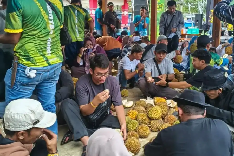 Festival Durian Songgon Ramai, Produksi Turun Disorot