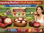 Manggis Disebut Superfood, Klaim Manfaat Perlu Uji Ilmiah