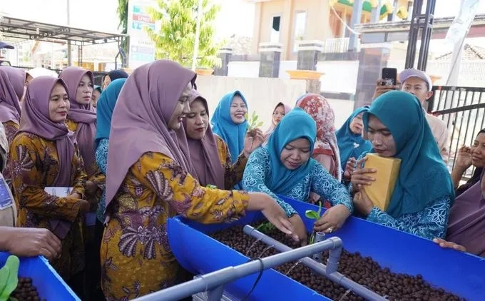 Pelatihan Akuaponik PRPP Disorot, Efektifkah Tekan Stunting