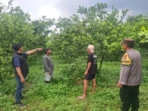 Pencuri Jeruk 184 Kg Dibekuk Polisi Malang