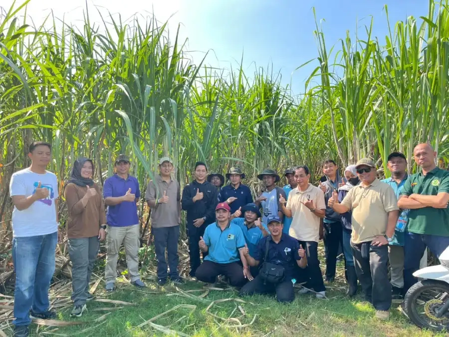 PG Meritjan Kediri Genjot Pasokan, Petani Disorot