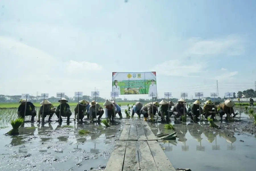 Tanam Serempak Mojokerto, Efektivitas Dipertanyakan