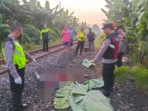 Wanita Tewas di Rel, Dugaan Bunuh Diri Menguat Wanita Tewas di Rel, Dugaan Bunuh Diri Menguat
