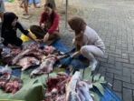 16 Kambing Kurban Dibagikan Hingga Kampung Sekitar