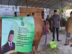 Banpres Sapi 1,2 Ton Prabowo Tiba di Bojonegoro Banpres Sapi 1,2 Ton Prabowo Tiba di Bojonegoro