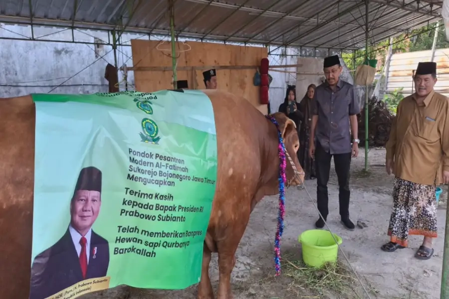 Banpres Sapi 1,2 Ton Prabowo Tiba di Bojonegoro