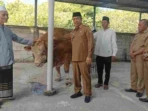 Bupati Madiun Antar Sapi Kurban Presiden ke Ponpes