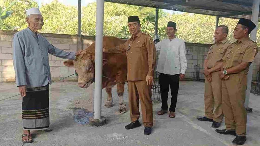 Bupati Madiun Antar Sapi Kurban Presiden ke Ponpes
