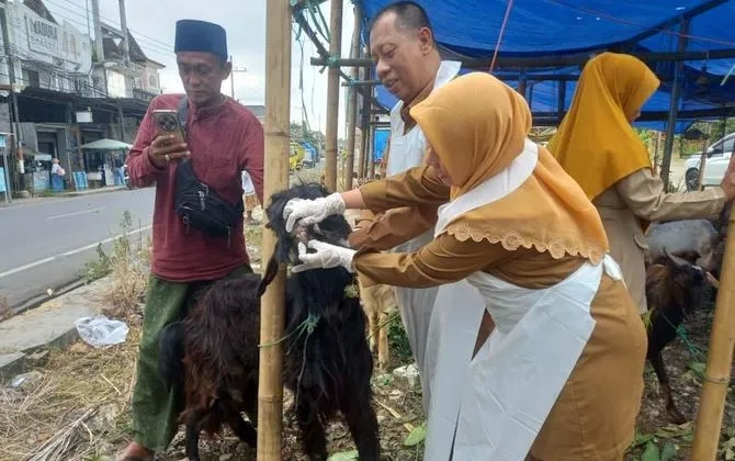 DKPP Sumenep Intensif Sidak Hewan Kurban