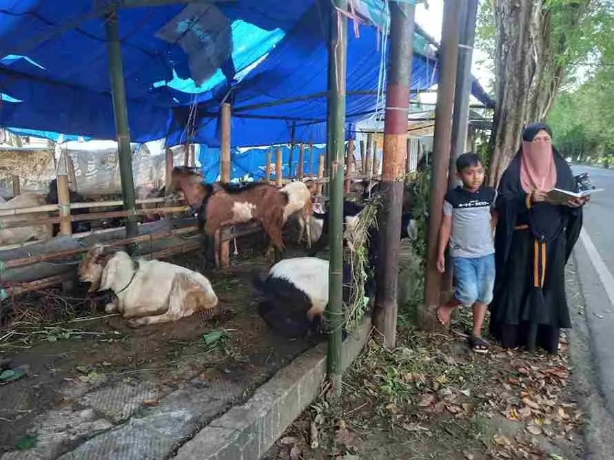 Harga Kambing Kurban Sumenep Melonjak Jelang Iduladha
