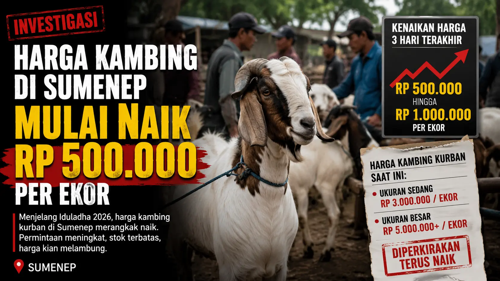 Harga Kambing Kurban Sumenep Melonjak