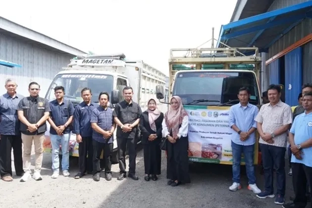 Jagung SPHP Digelontorkan, Harga Pakan Disorot