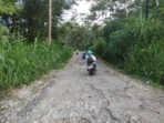 Jalan Wonoanti–Nglaran Rusak, Pemerintah Disorot