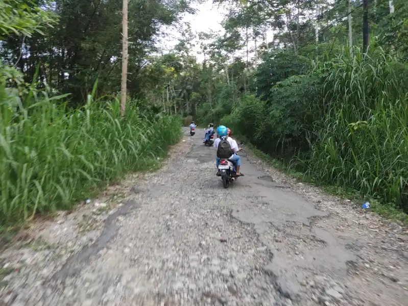Jalan Wonoanti–Nglaran Rusak, Pemerintah Disorot