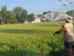Ketahanan Pangan Jadi Ujian Kebangkitan Bangsa