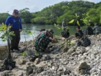 Kodim Lamongan Tanam 1.000 Mangrove