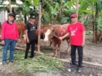 PDIP Gresik Tebar Kurban, Perkuat Basis Sosial
