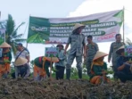 Petani Bondowoso Lawan Regulasi Nikotin