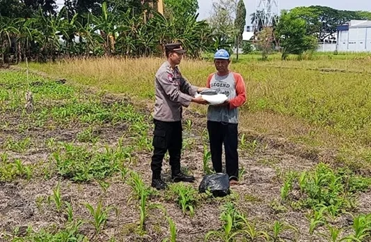 Polisi Kawal Ketahanan Pangan, Petani Terima Bantuan Pupuk