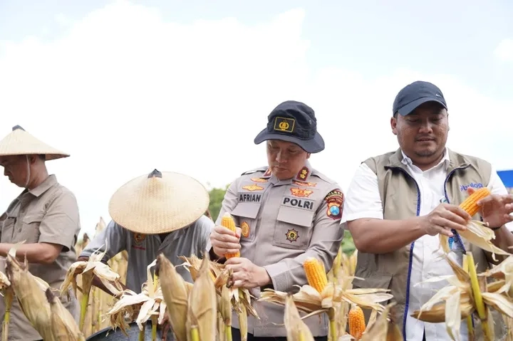 Polri Kawal Panen Jagung Nasional