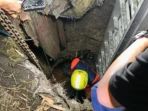Sapi Kurban Rp25 Juta Tercebur Septic Tank Sapi Kurban Rp25 Juta Tercebur Septic Tank
