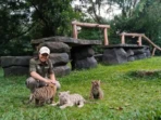 Tiga Bayi Harimau Langka Lahir di Prigen