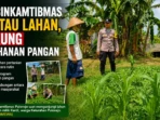 Bhabinkamtibmas Pantau Lahan, Dukung Ketahanan Pangan