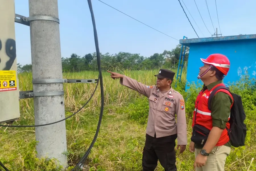 Empat Outsourcing PLN Ditangkap Diduga Curi Kabel Aktif