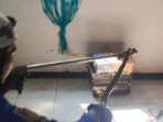 Empat Ular Masuk Permukiman, Damkar Jombang Siaga
