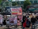 Harga Telur Jatuh, Peternak Desak Pemerintah Bertindak