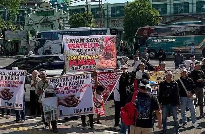 Harga Telur Jatuh, Peternak Desak Pemerintah Bertindak