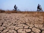 Kemarau Ekstrem 2026 Ancam Air dan Pangan Kemarau Ekstrem 2026 Ancam Air dan Pangan